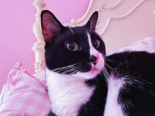 Carousel post from margaritabloom.