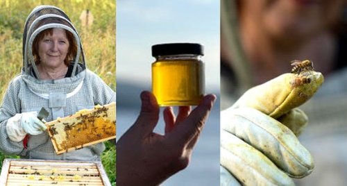 Photo post from madeinmedelpad.