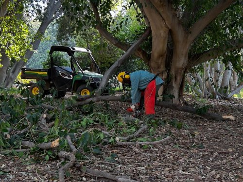 Carousel post from ucrbotanicgardens.