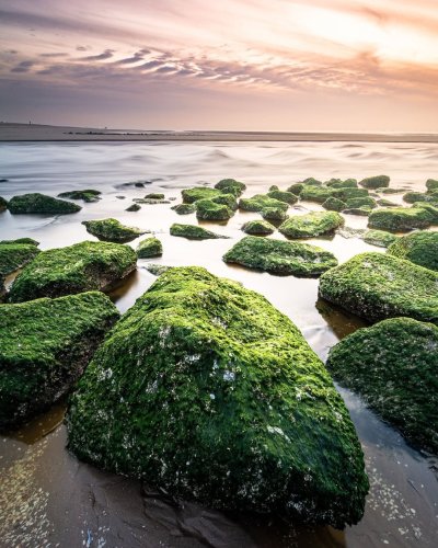 Photo post from ditiskatwijk.