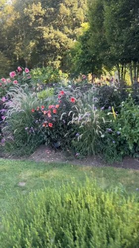 Video post from sussexprairies.