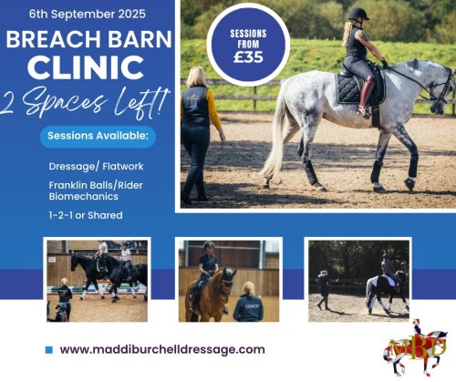 Photo post from mbddressage.
