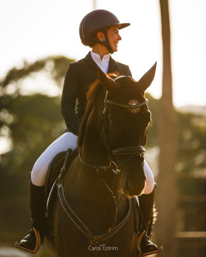 Carousel post from ju.showjumping.