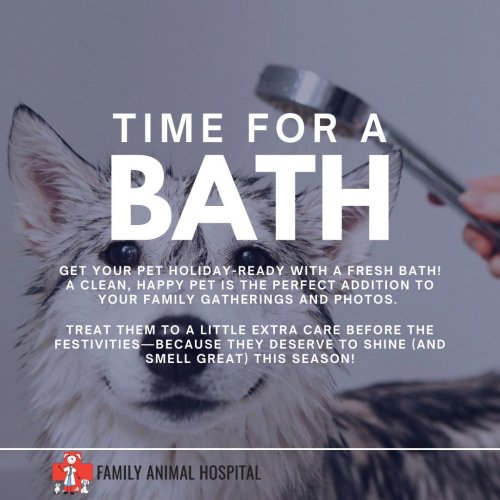 Photo post from familyanimalhospitalcm.