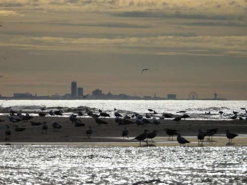 Photo post from ditiskatwijk.