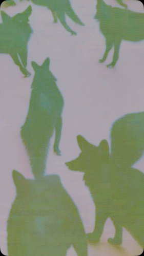Video post from owae.ga.