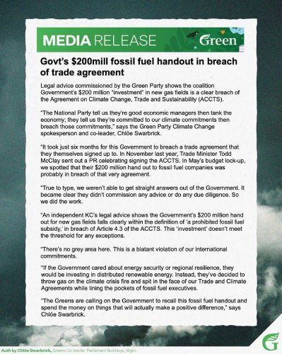 Photo post from nzgreenparty.