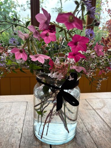 Photo post from gardenhousebrighton.