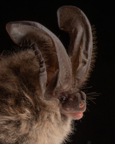 Photo post from josegabrielwildlife.
