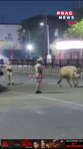 Video post from pragnewsofficial.