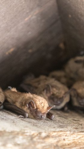 Video post from lincolnparkzoo.