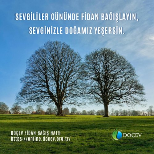 Photo post from dogavecevrevakfi.