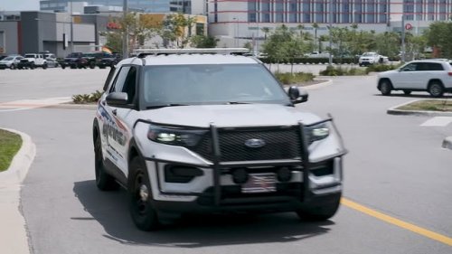 Video post from daytonabeachpolice.