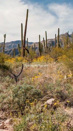 Video post from visittucson.