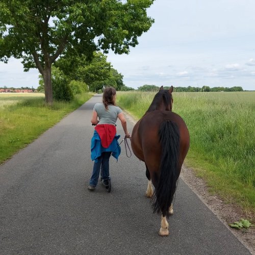 Photo post from reiten_mit_behinderung.