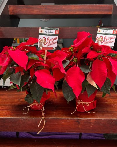 Carousel post from la_gifteria.