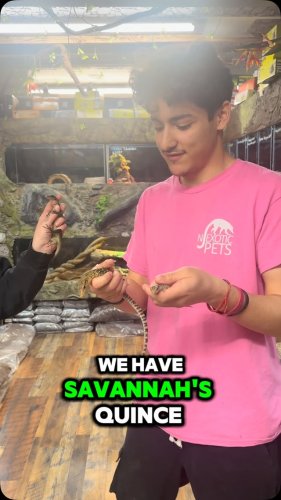 Video post from njexoticpets.