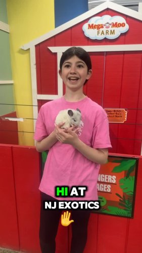 Video post from njexoticpets.