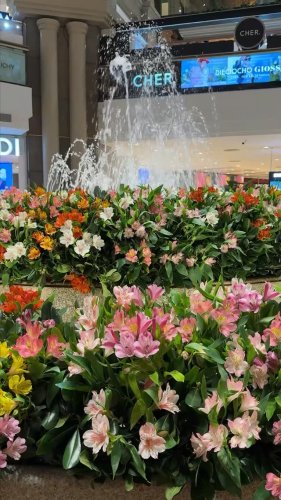 Video post from galeriaspacificoshopping.