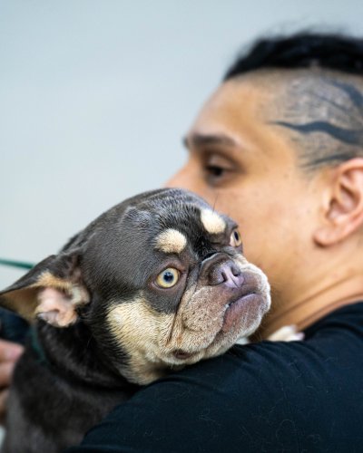 Photo post from medicalpettj.