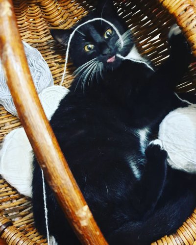 Photo post from peri.renata.glinkowska.