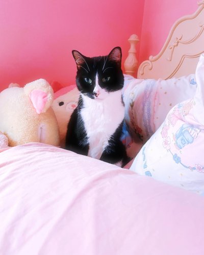 Carousel post from margaritabloom.