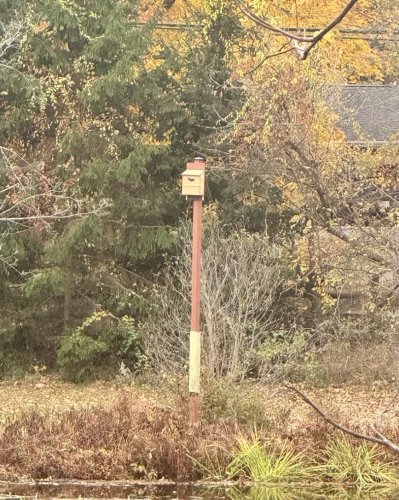 Photo post from evewaterman.