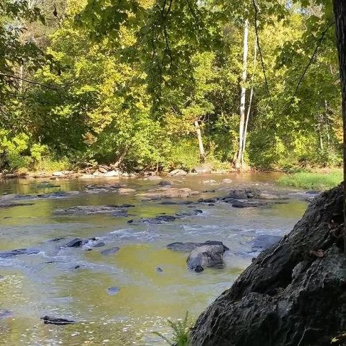 Video post from theheartofnc.