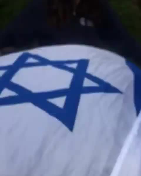 Video post from tjjlions.