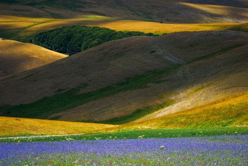 Photo post from rpslandscape.