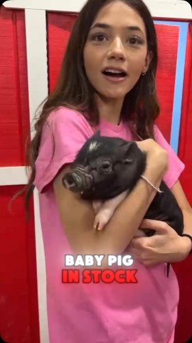 Video post from njexoticpets.