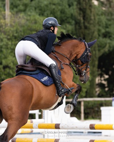 Carousel post from cmarques_photography.