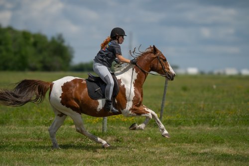 Photo post from sam.montgomery14.