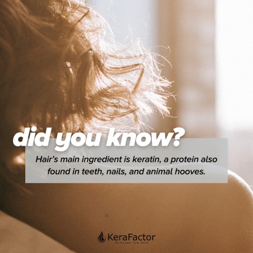 Photo post from kerafactor.