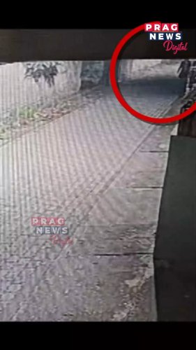 Video post from pragnewsofficial.