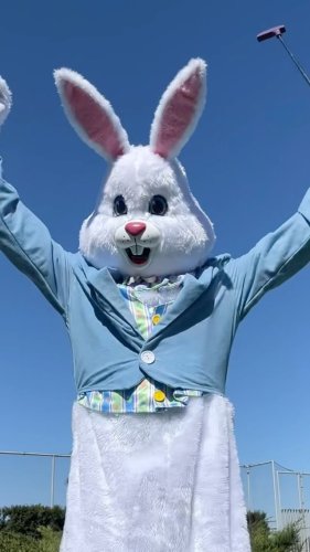 Video post from capitalonecenter.