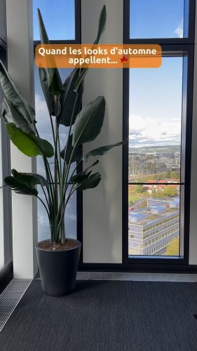 Video post from ricardo_ch.fr.