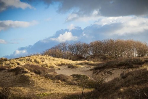 Photo post from ditiskatwijk.