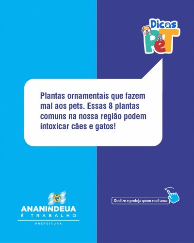 Carousel post from ananindeuapma.