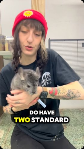 Video post from njexoticpets.
