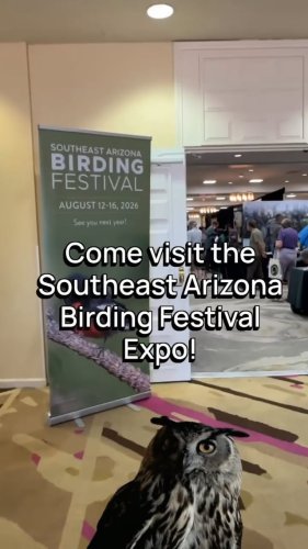 Video post from visittucson.