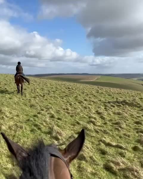 Carousel post from woodward_eventing.