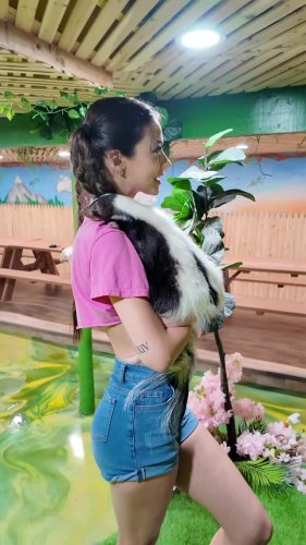 Video post from njexoticpets.
