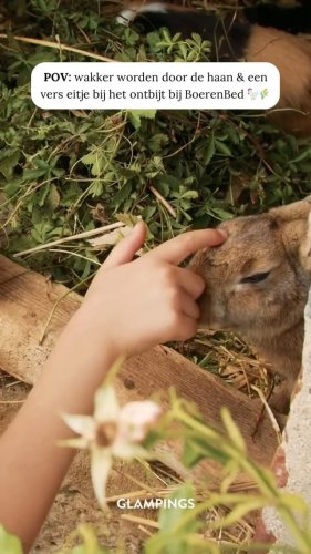 Video post from glampings.