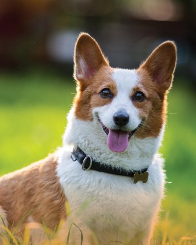 Photo post from ruoffmortgage.