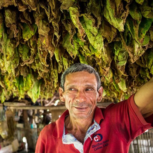 Carousel post from unops_official.