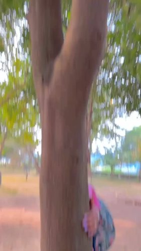 Video post from priy.a12344235.