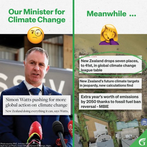 Photo post from nzgreenparty.