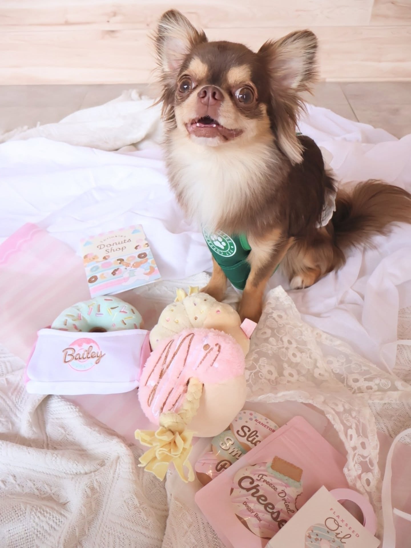 Doggy Box | ワンちゃんのためのワクワク定期便
