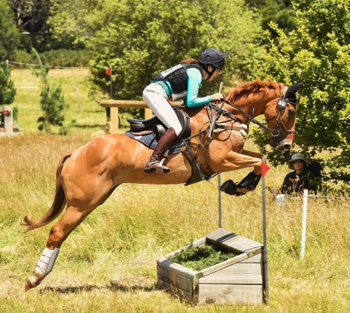 Carousel post from stacey_briggs_eventing.